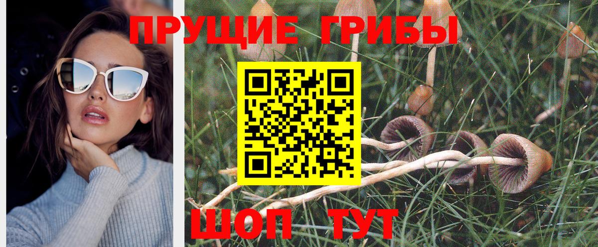 Галлюциногенные грибы мицелий  Псилоцибиновые грибы прущие грибы  Учалы  Вход с VPN 